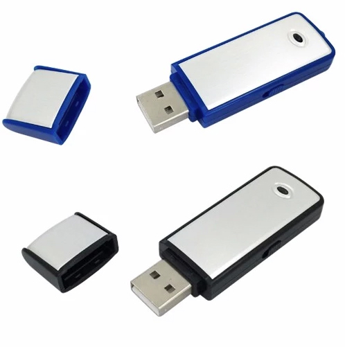 enregistreur audio sur disque flash usb