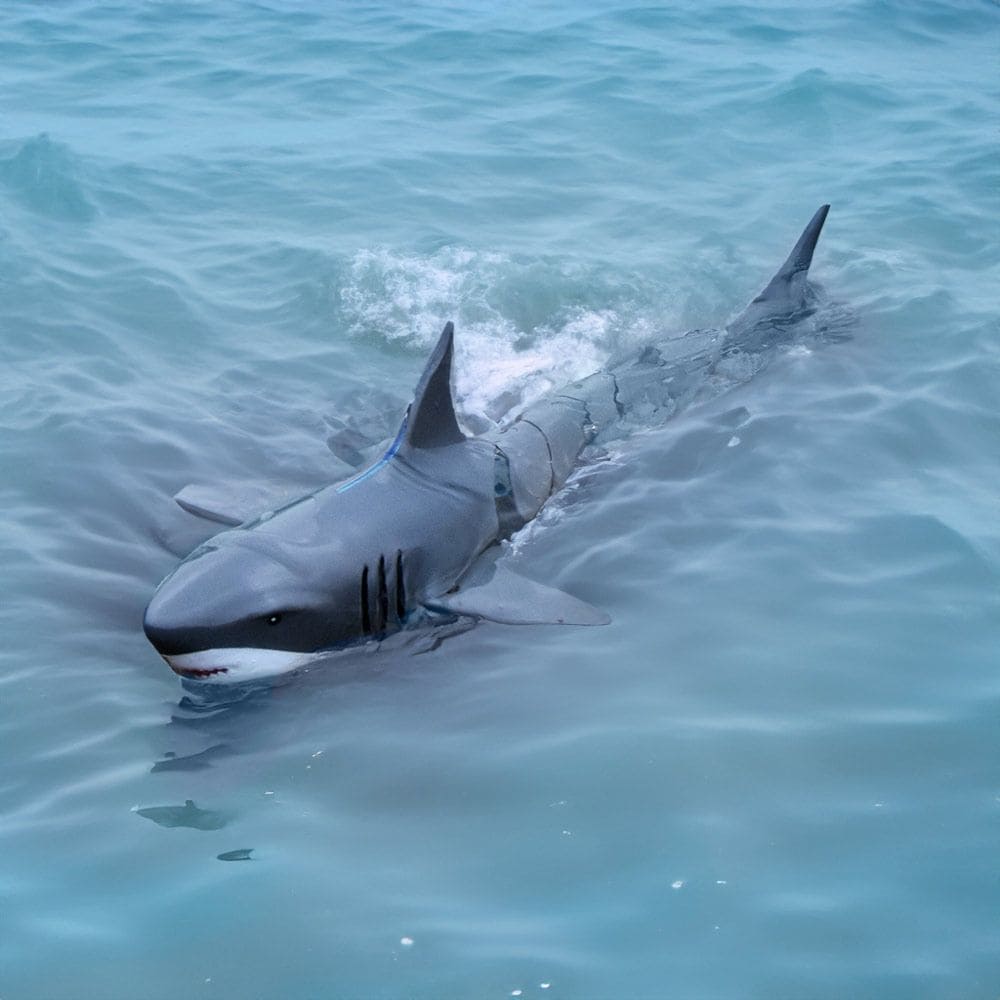 Requin RC pour télécommande dans l'eau avec un contrôleur