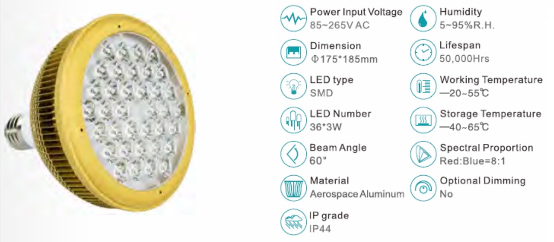 Usine de lampe LED