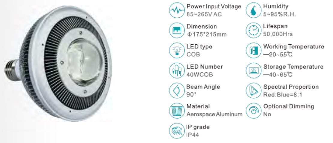 Usine de lampe LED