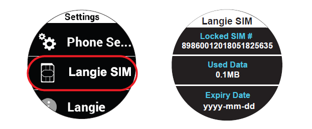 langie sim card pays global