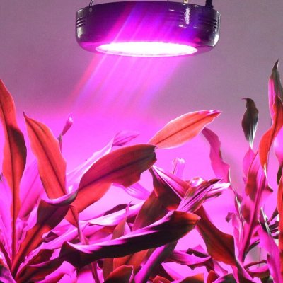 Led lumière Ufo grandir